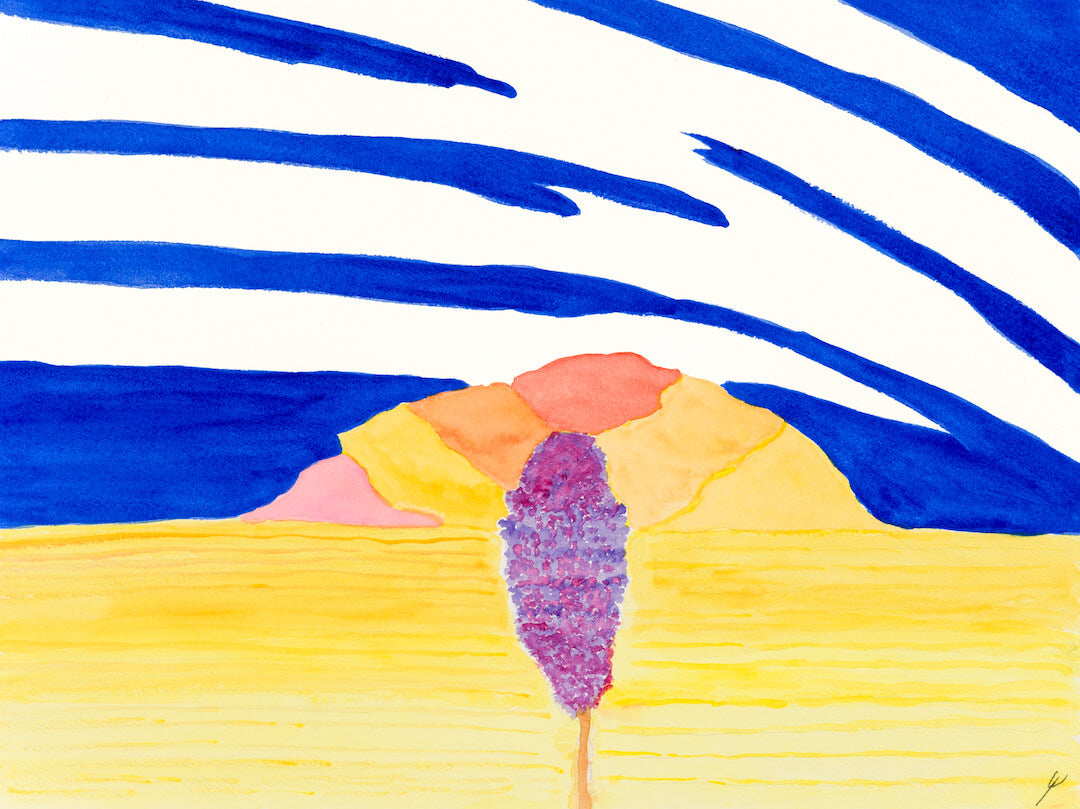 Bougainvillea in Winter, Poipu, Kaua'i