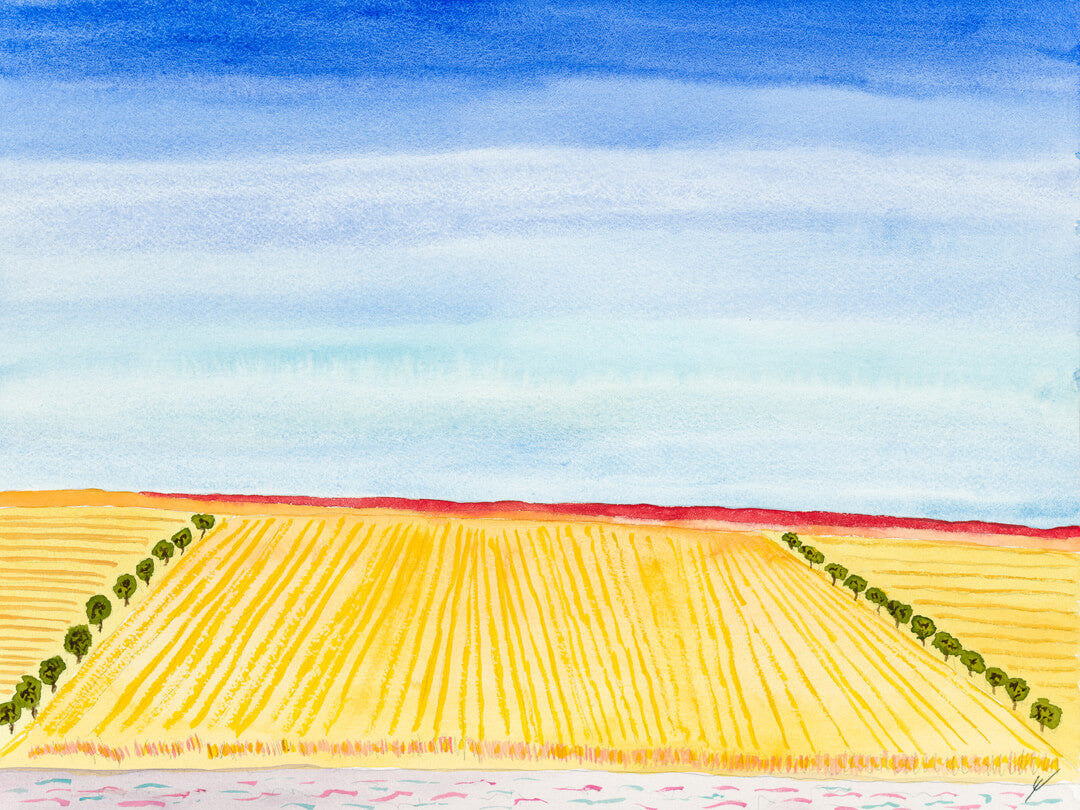 Bright Hills and Late Summer Fields, Dunn County, North Dakota