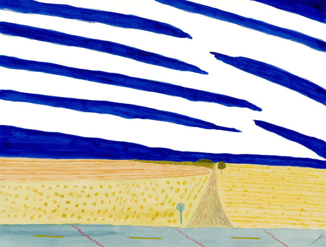 Country Road in July, McHenry County, North Dakota