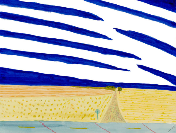 Country Road in July, McHenry County, North Dakota