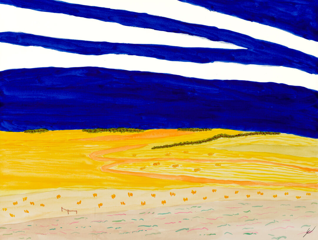 Curving Fields in August, North Dakota