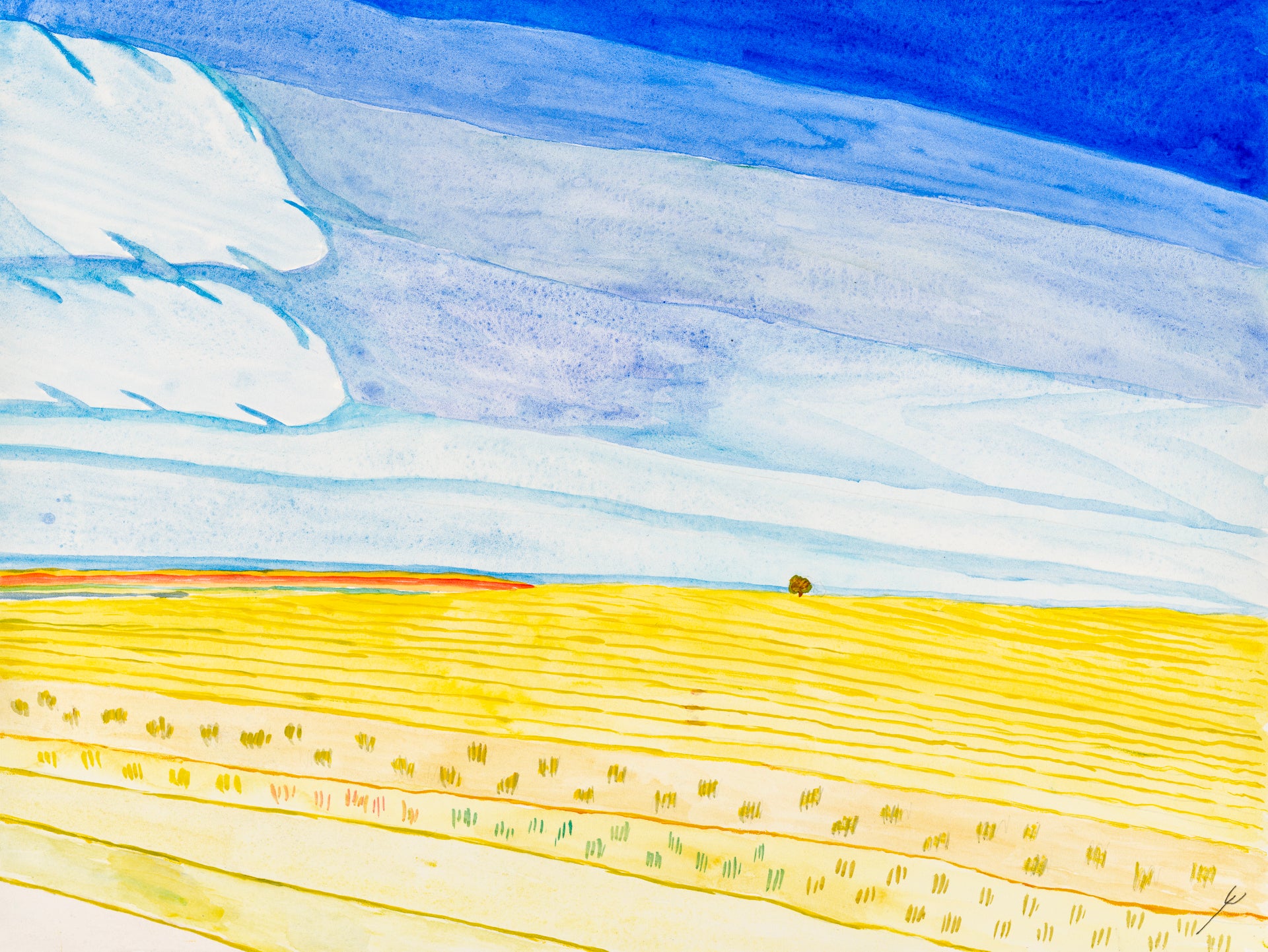 Early Autumn Fields, North Dakota