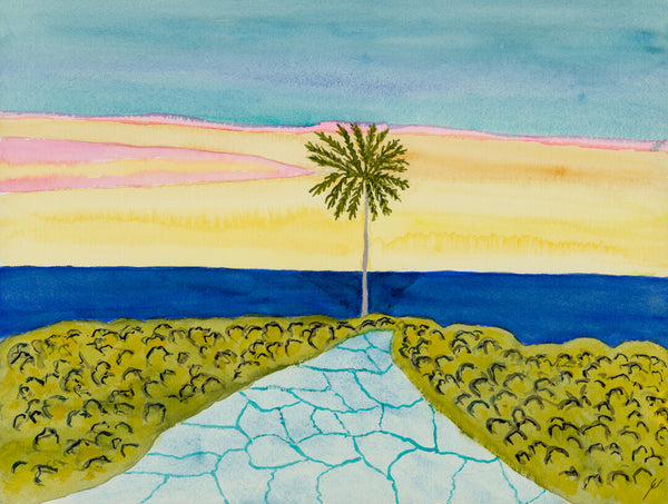 January Sunset, Poipu, Kaua'i