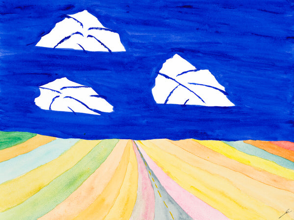 Prairie Road in Summer, McHenry County, North Dakota