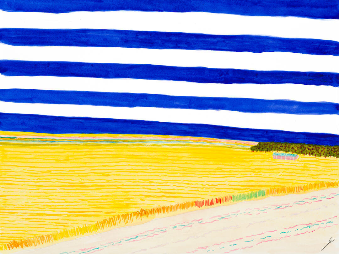 Summer Fields, Ward County, North Dakota