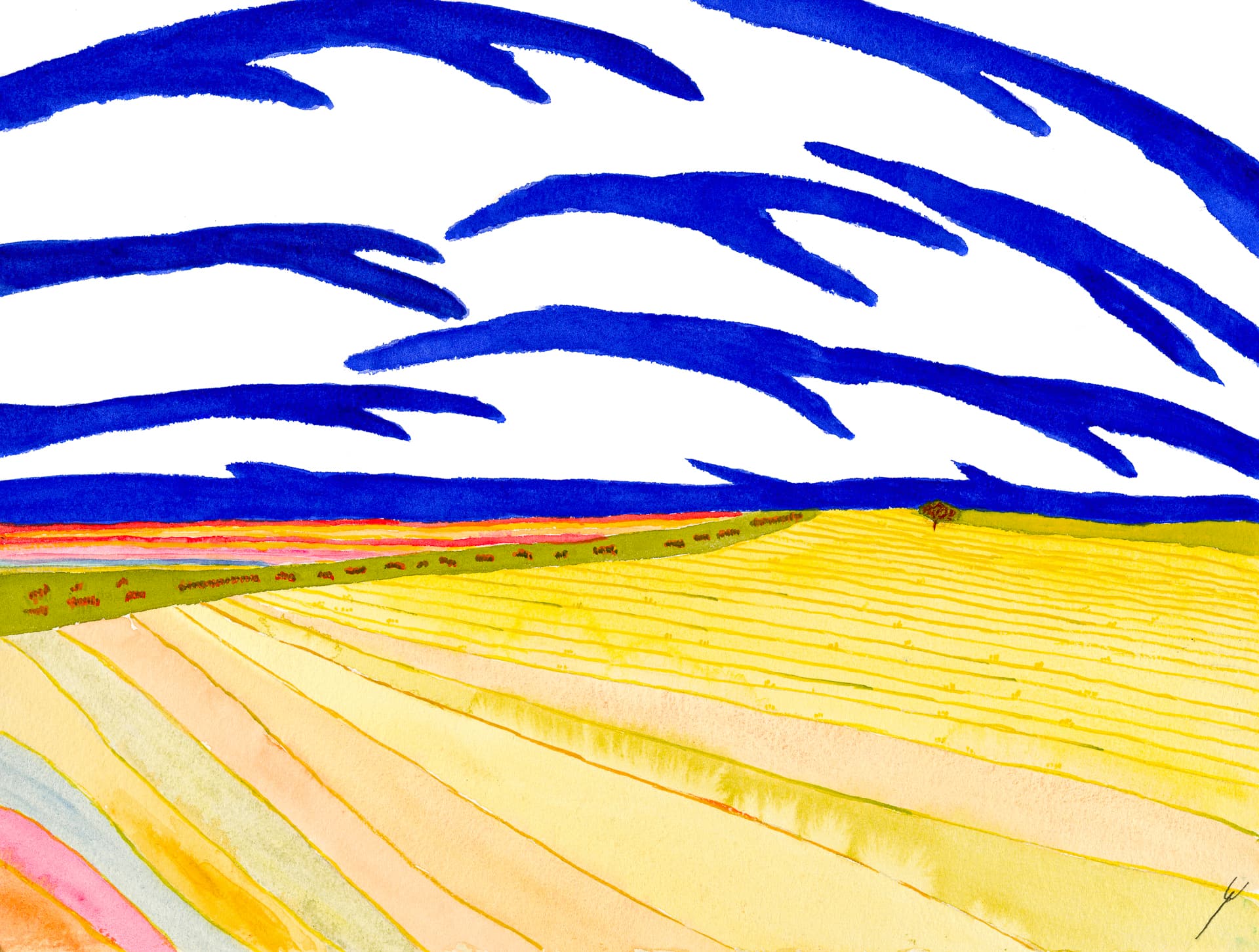 Summer Fields and Hills, Oliver County, North Dakota