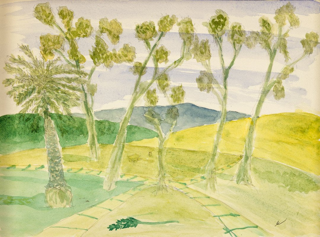 Balboa Park Eucalyptus Grove