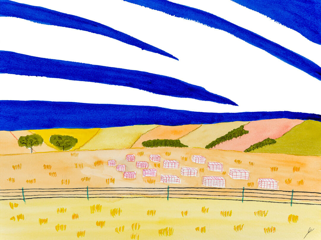 Beehives in August, Morton County, North Dakota