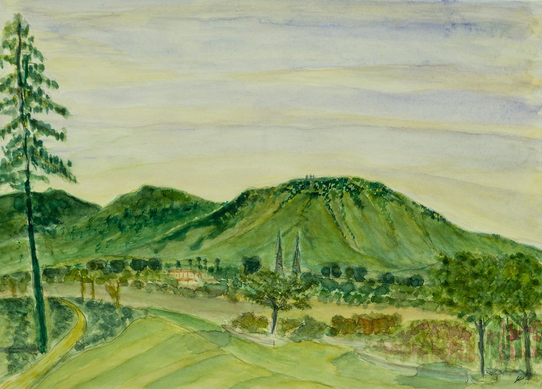 Beyond the Rose Garden