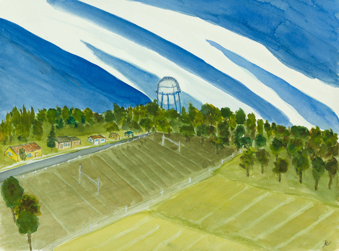 Bismarck Football Fields