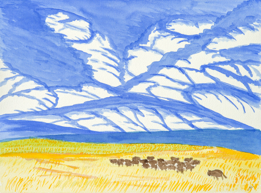 Buffalo Herd