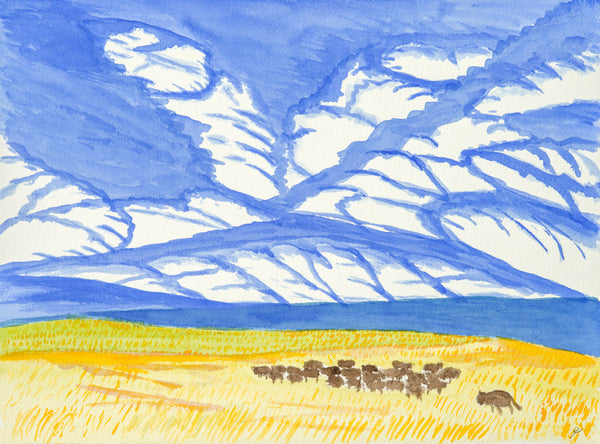 Buffalo Herd