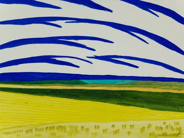 Colorful Fields in July, North Dakota