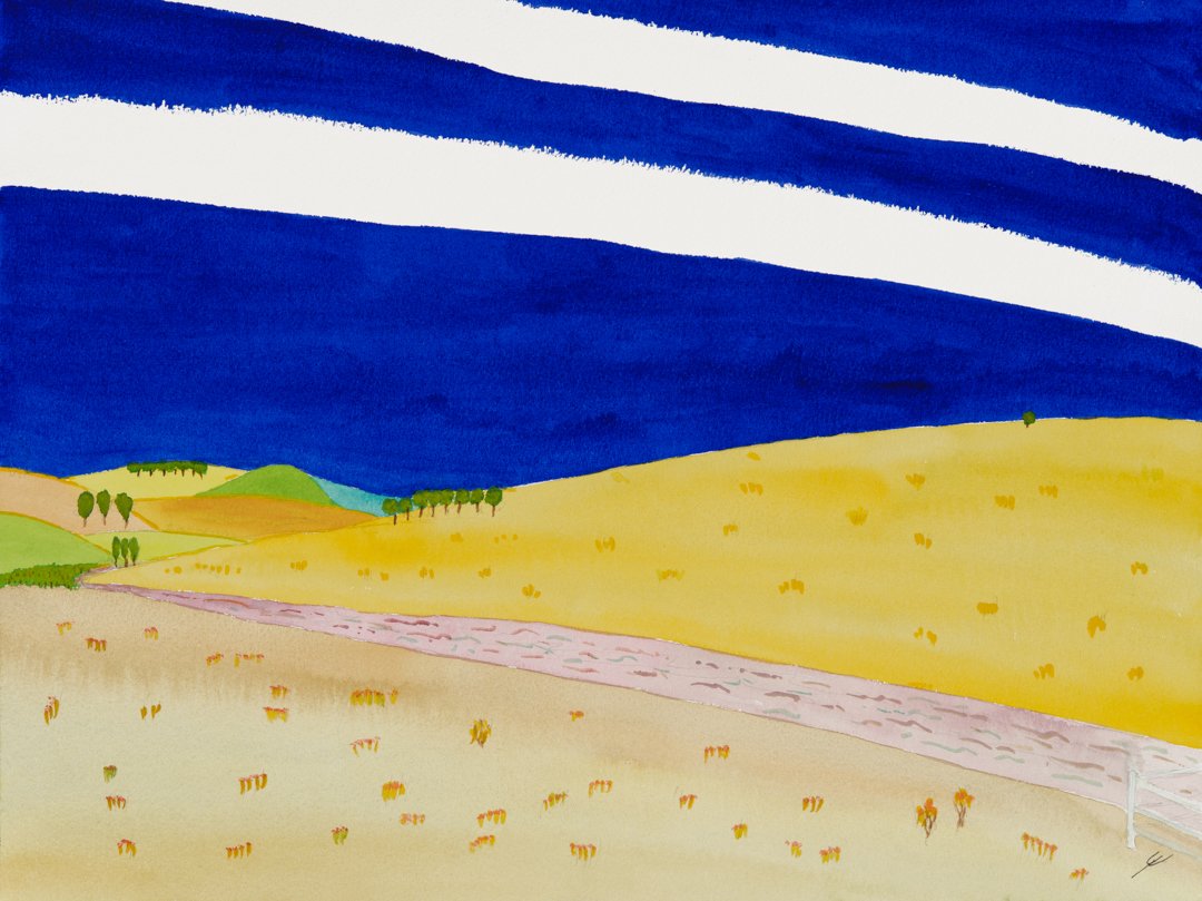 Country Road in Summer, North Dakota