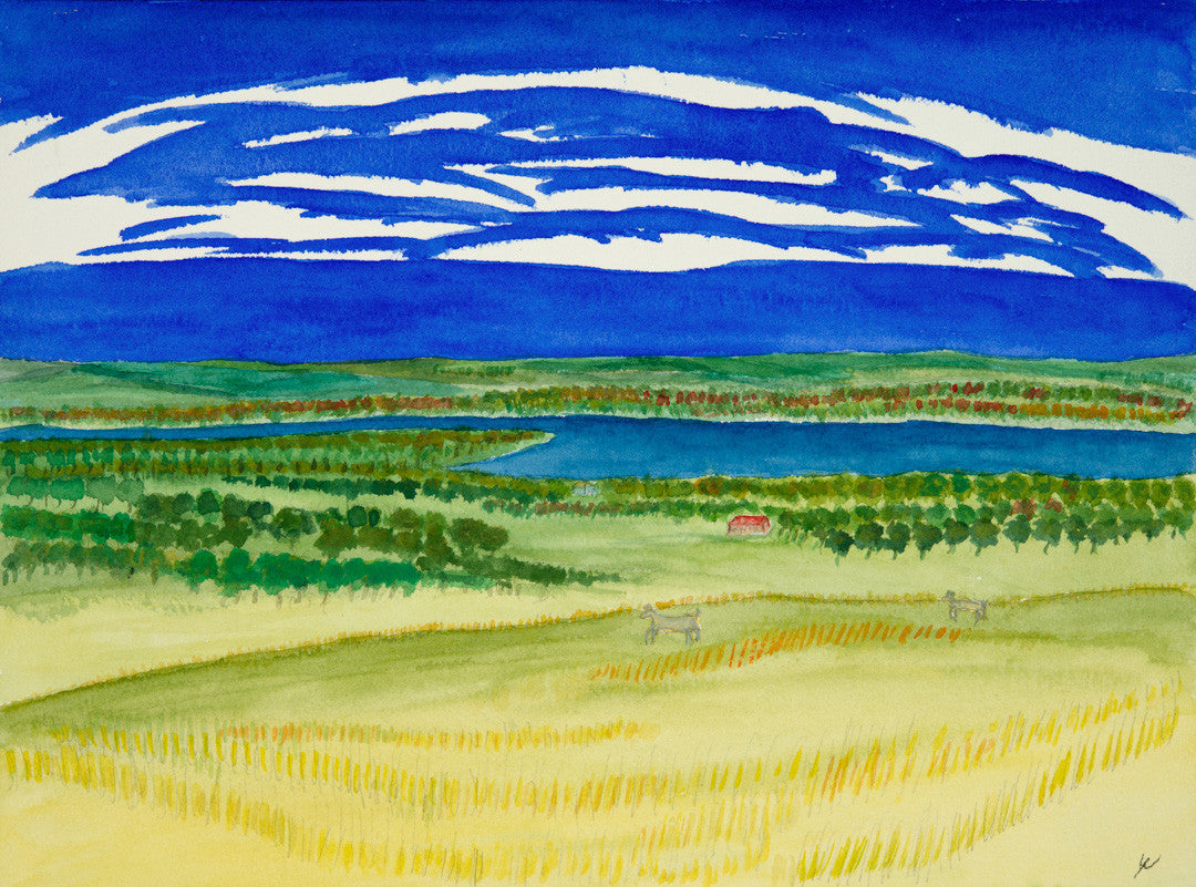 Deer in North Dakota