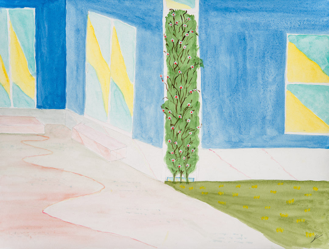 Dillon Back Yard, Kaua'i