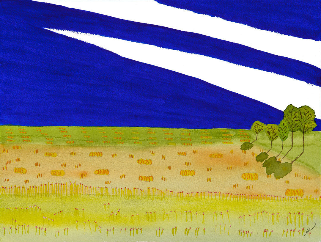 Fields of Baled Hay, North Dakota