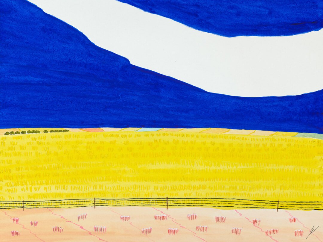 Fields, Northwestern, North Dakota