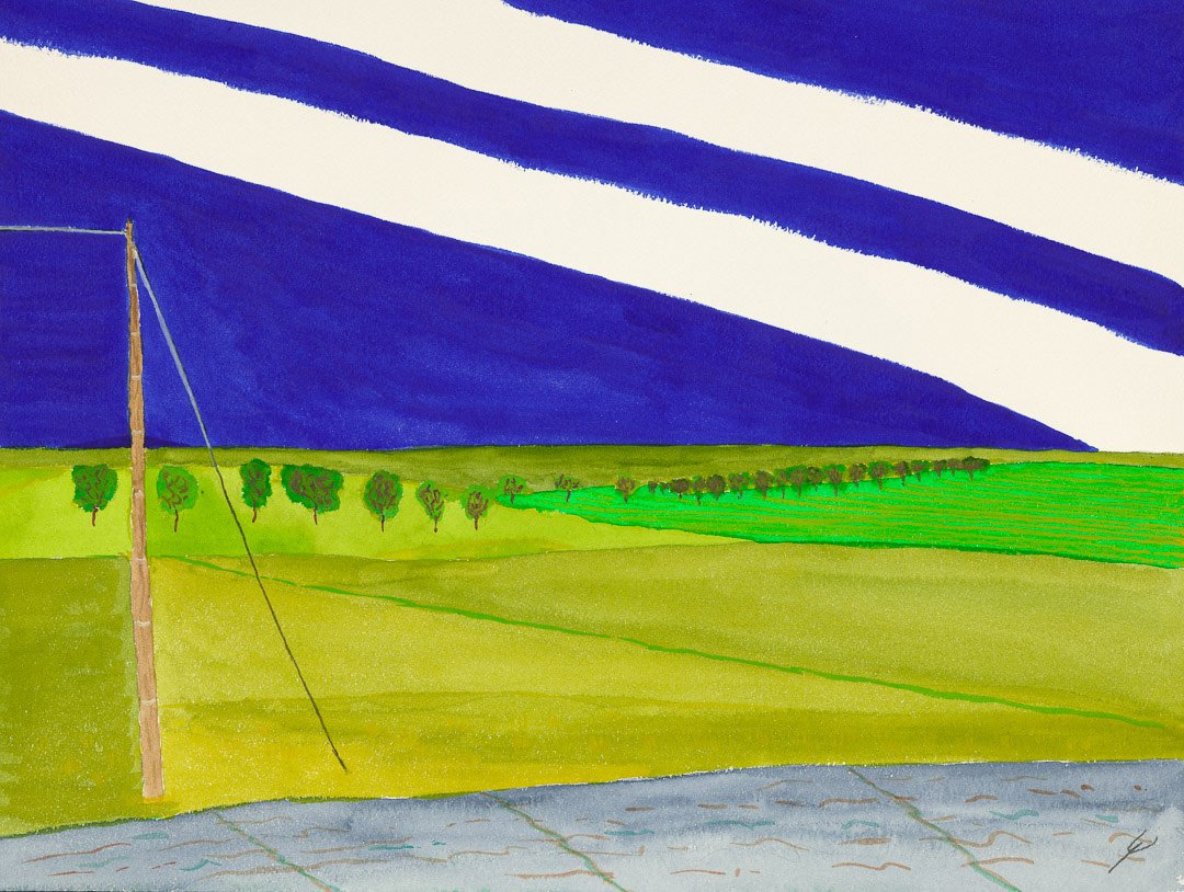 Fields in Spring, North Dakota