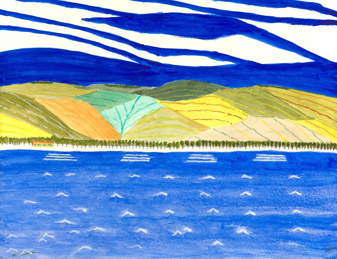 Hanalei Coastline, Kaua'i