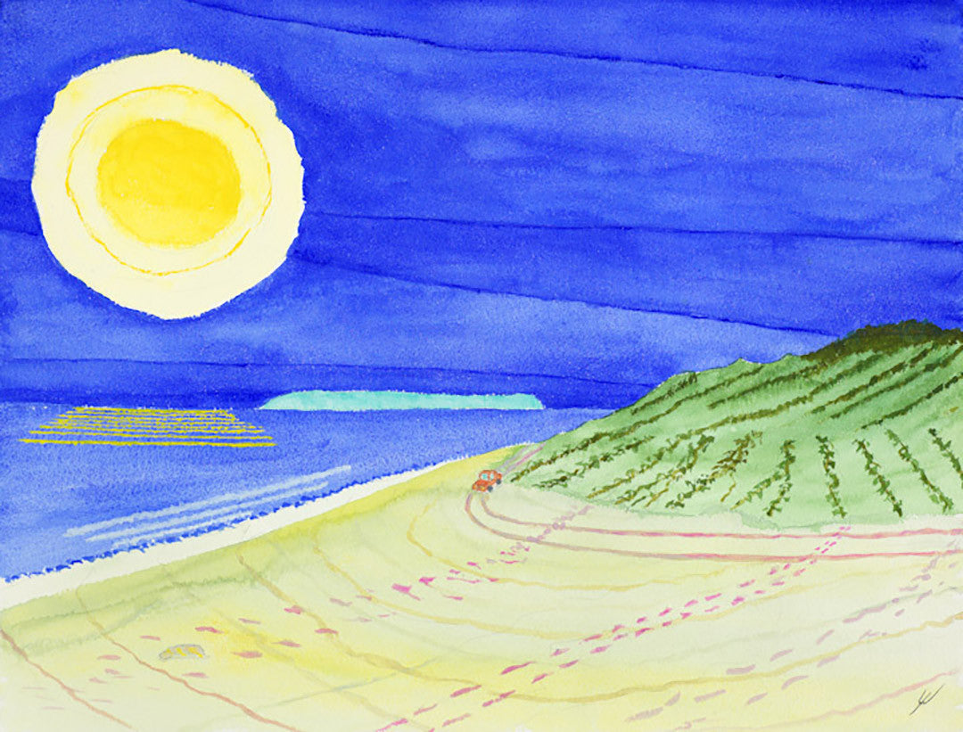 Kekaha Beach and Niihau, Kauai