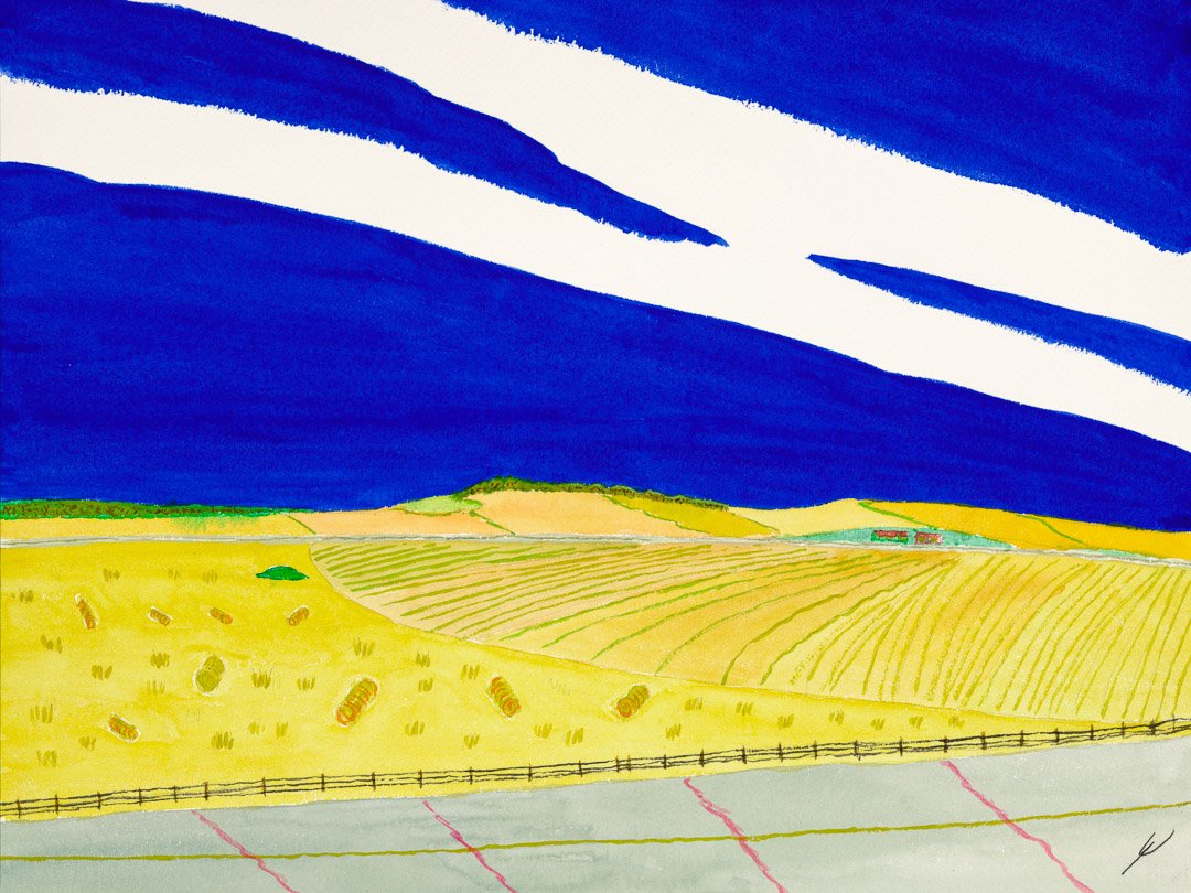 Late Summer Fields, North Dakota