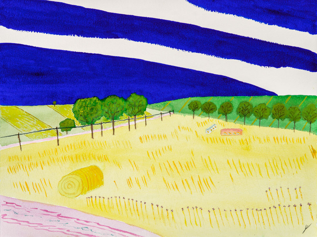 Later Summer Fields, North Dakota