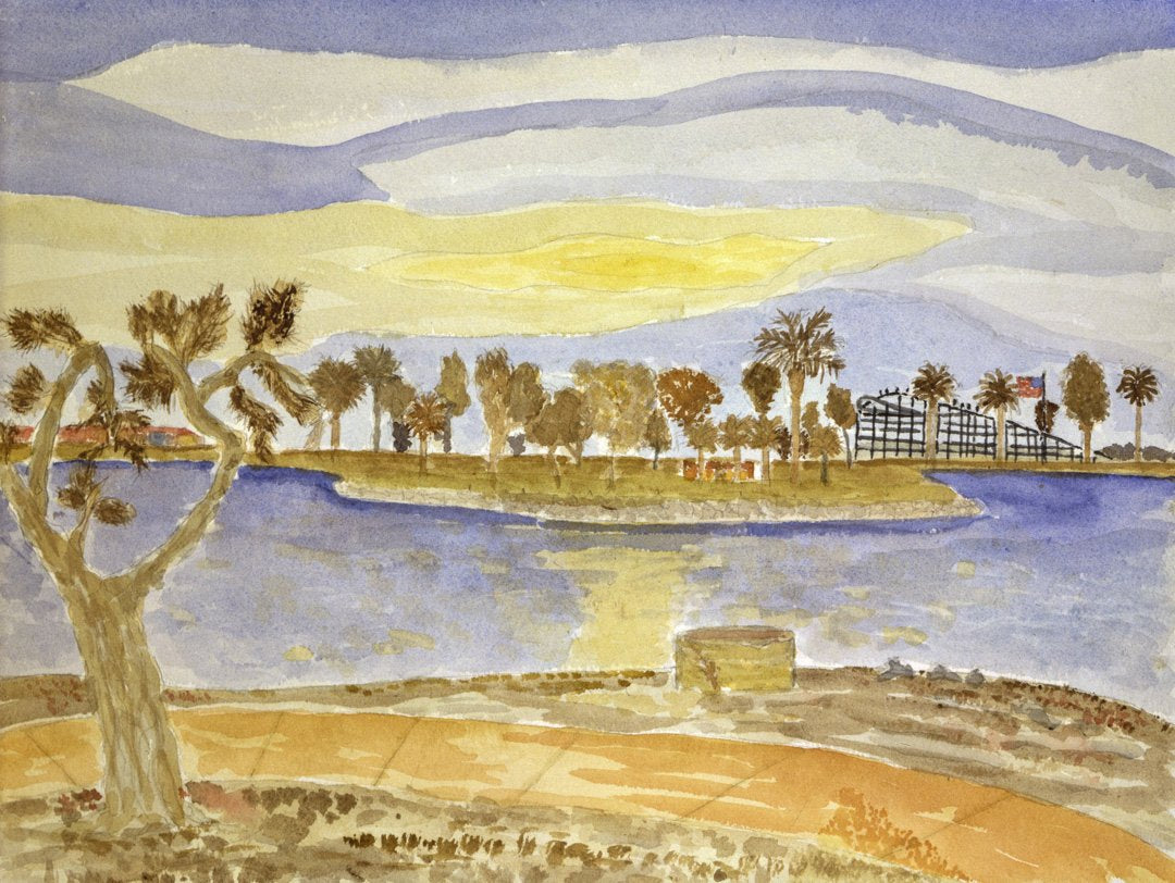 Mission Bay Roller Coaster