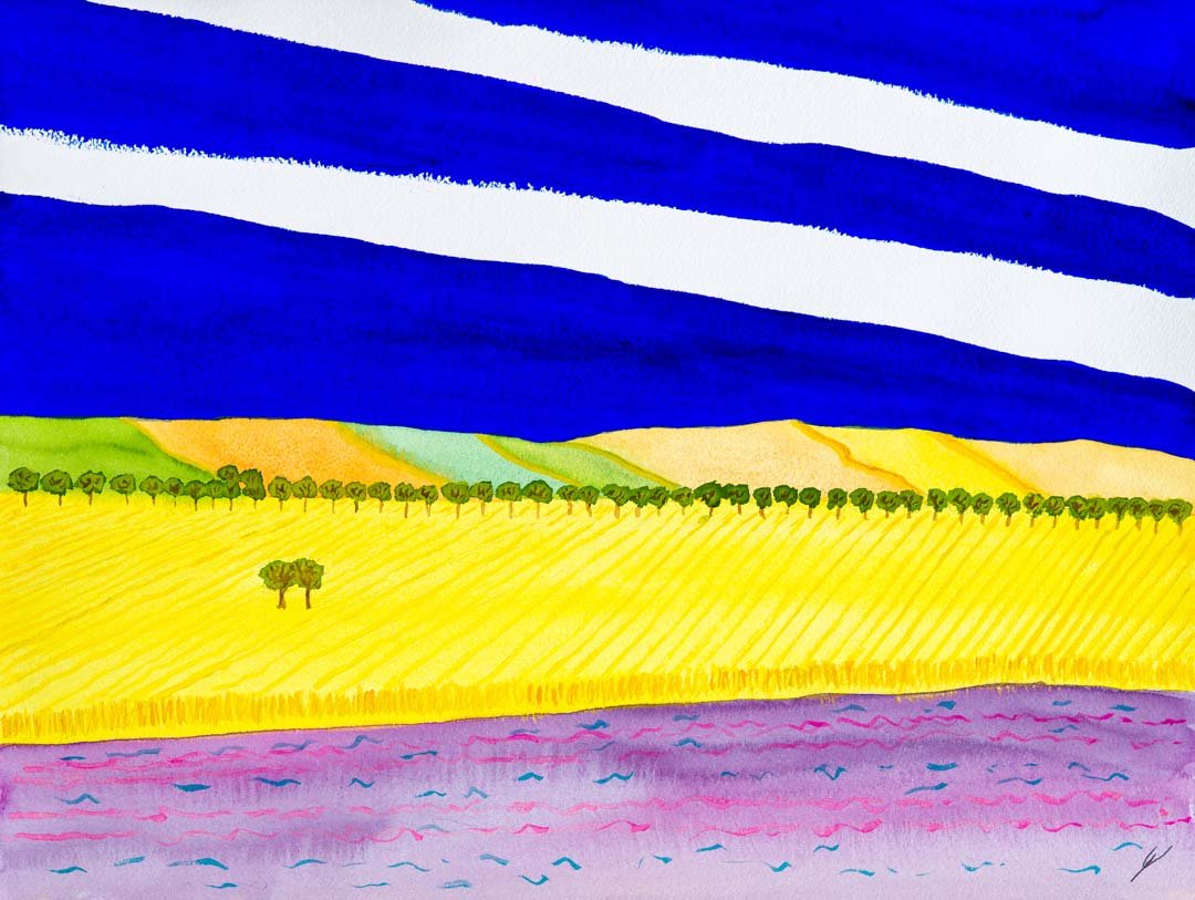 North Dakota August Fields