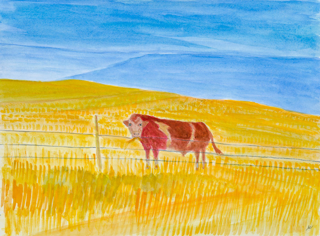 North Dakota Hereford