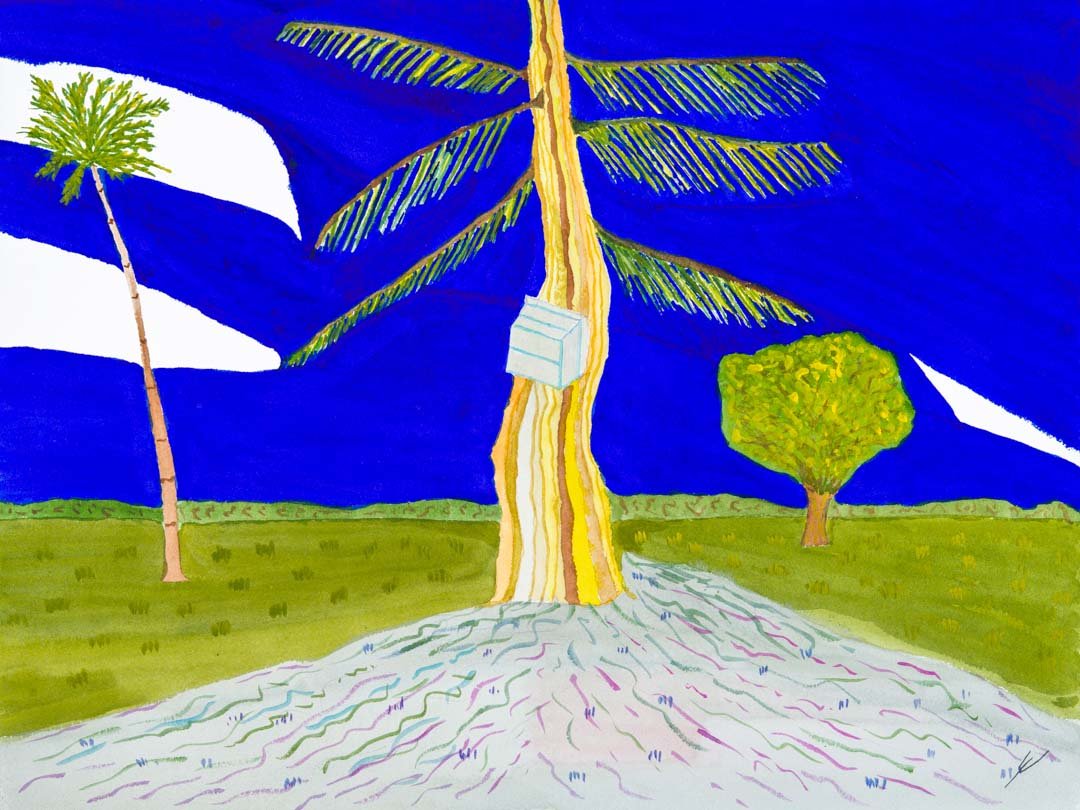 Old Tree and Beehive, Poipu, Kaua'i