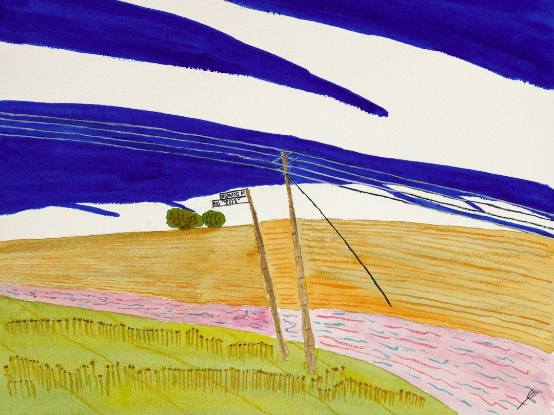 Summer Fields, Tasmania, Australia