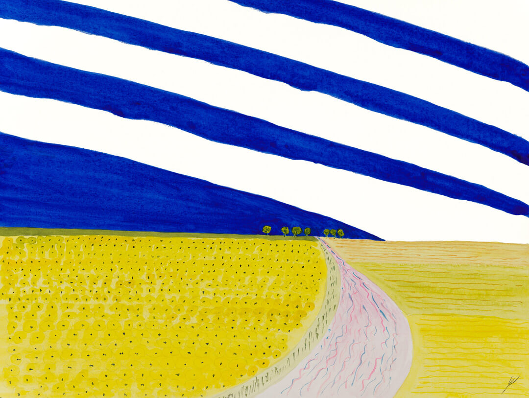 Sunflower Field in August, North Dakota