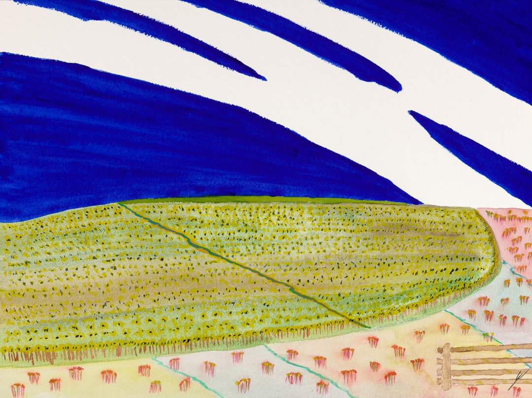 Sunflower Heaven, North Dakota