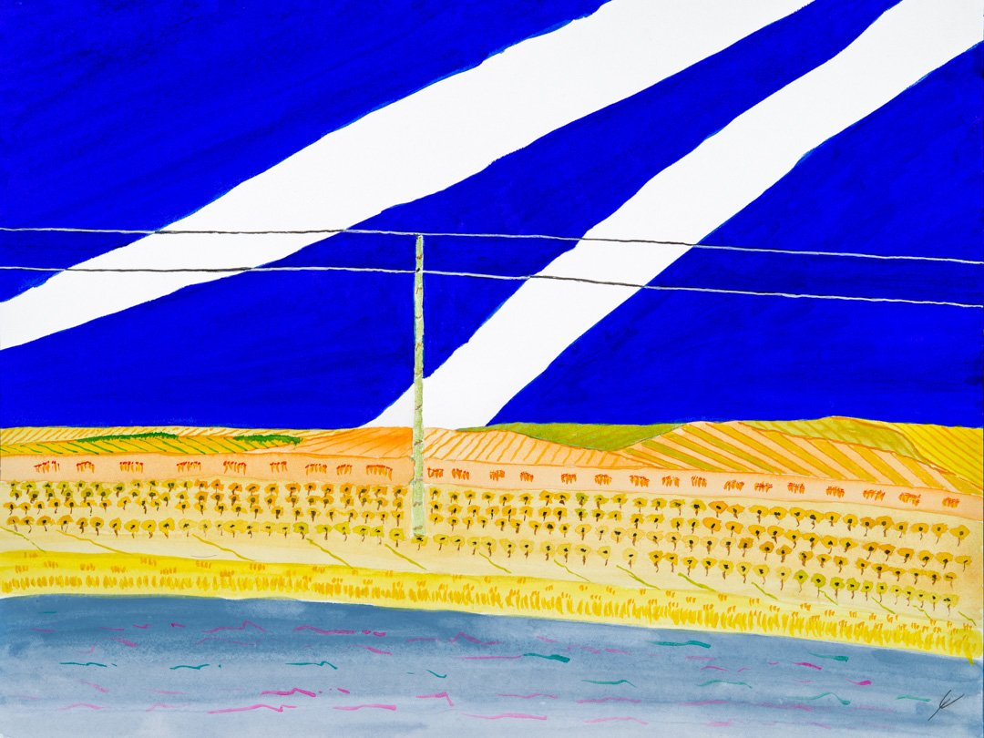 Sunflowers by the Road, North Dakota