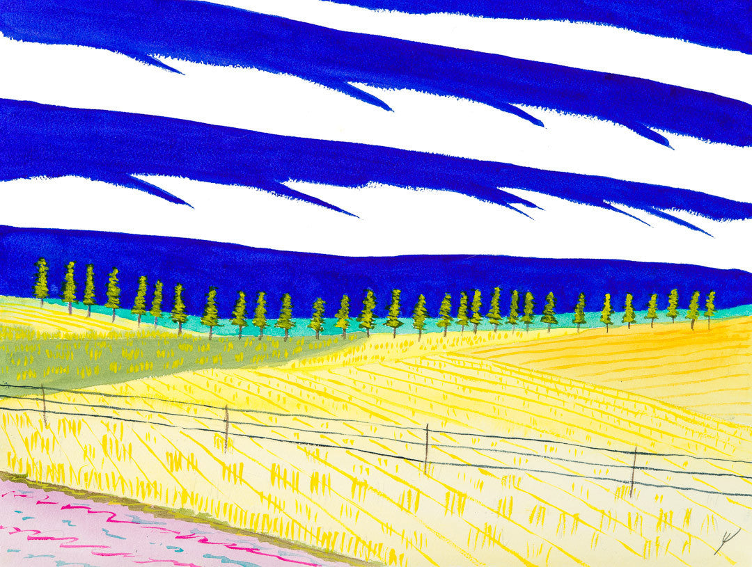 Trees and Fields, North Dakota