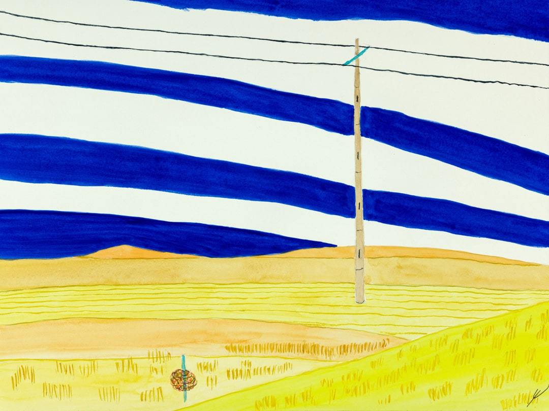 Tumbleweed in Fall, Mercer County, North Dakota