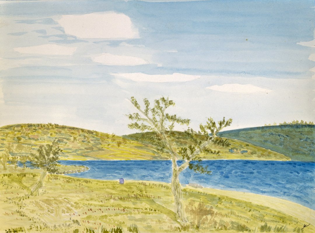 Vacation Village Trees