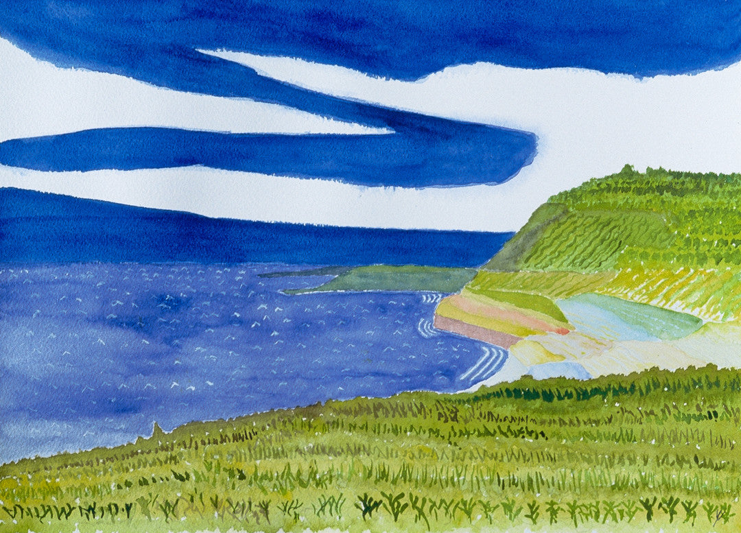 View from Kilauea Point, Kaua'I