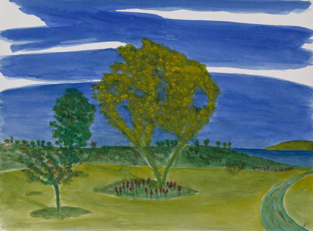 Yellow Tree in Spring