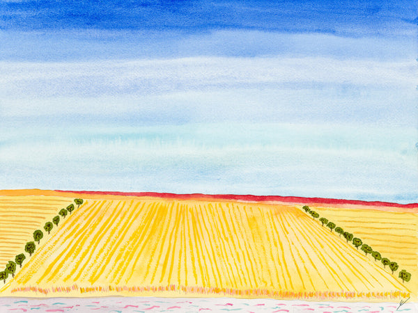 Bright Hills and Late Summer Fields, Dunn County, North Dakota