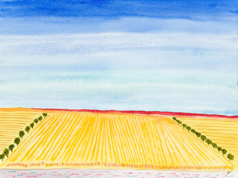 Bright Hills and Late Summer Fields, Dunn County, North Dakota