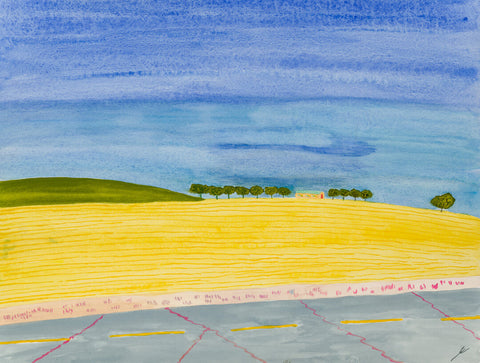 Canola Fields in Summer, North Dakota