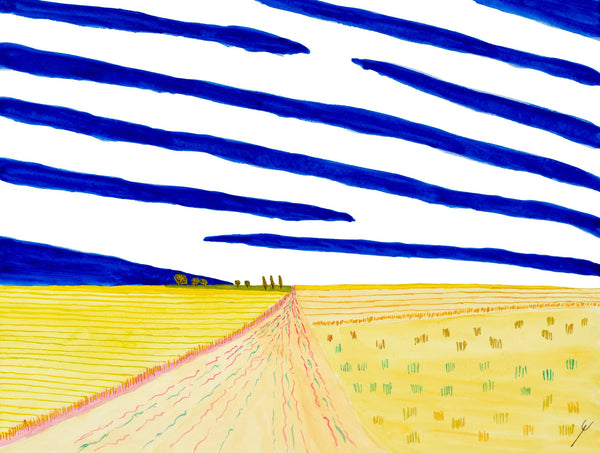 Country Road in Summer, Mercer County, North Dakota