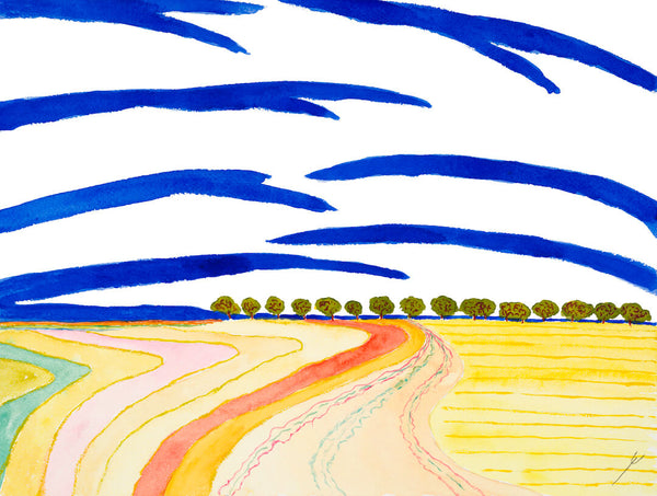 Curving Road and Fields, Mercer County, North Dakota