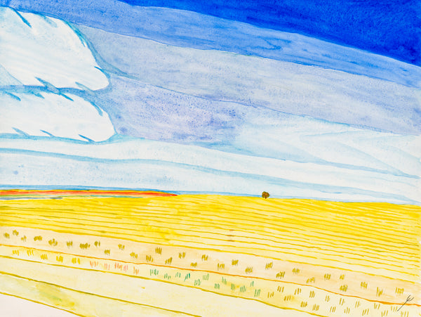 Early Autumn Fields, North Dakota