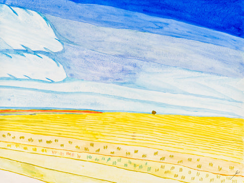 Early Autumn Fields, North Dakota