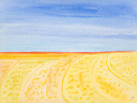 Fields After the Haying, North Dakota