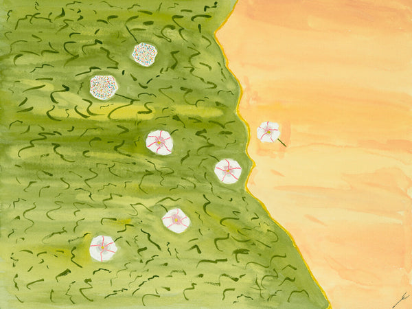 Five Prairie Roses and Two Dandelions, North Dakota