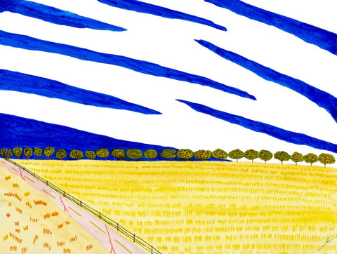 Hay Field, Koloa, Kaua'i